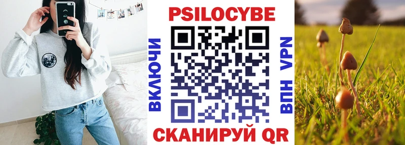 купить   Суровикино  Псилоцибиновые грибы мухоморы 